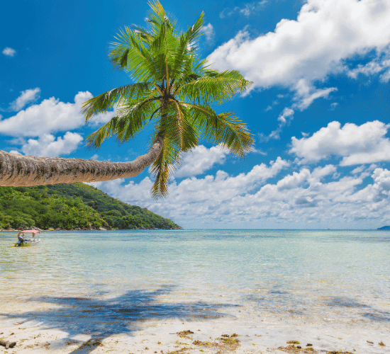 Fun Goa Quiz