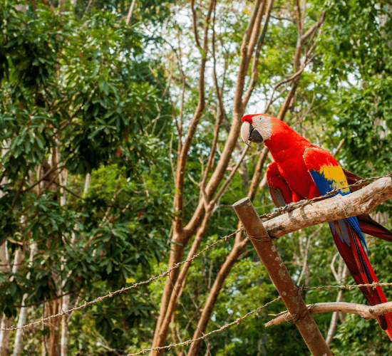Fun Honduras Country Quiz