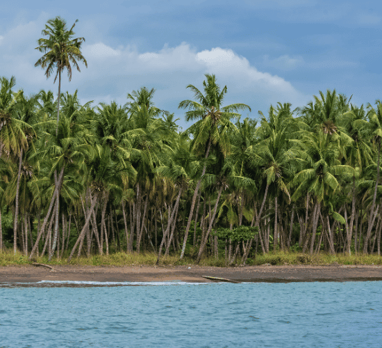 Fun Sao Tome and Principe Country Quiz