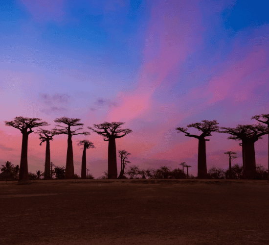 Fun Madagascar Country Quiz