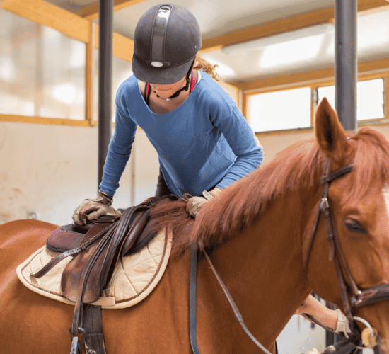 Fun Horse Riding Sport Quiz