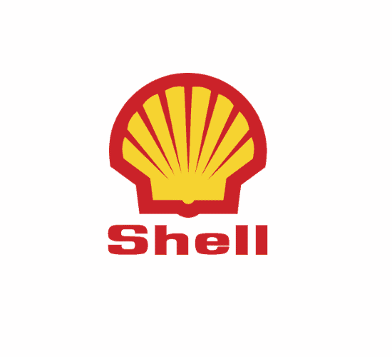 Fun Shell Brand Quiz
