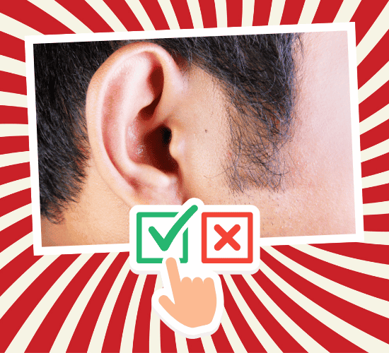 Fun Ear Anatomy Quiz
