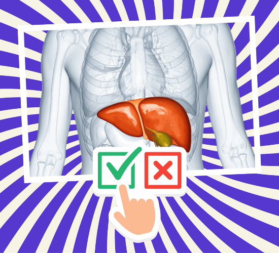 Fun Liver Anatomy Quiz