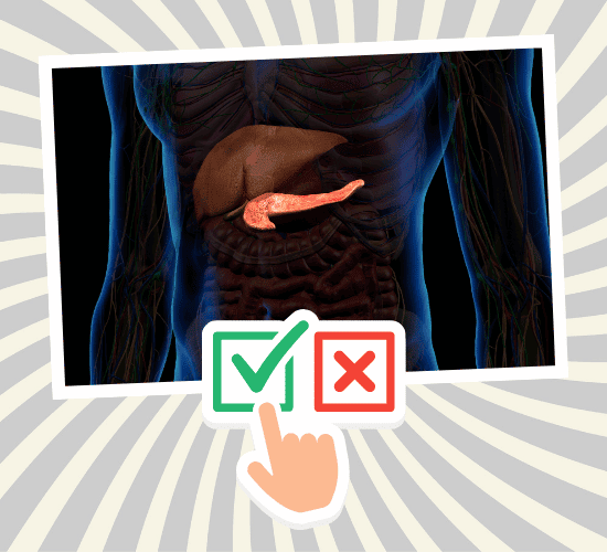 Fun Pancreas Anatomy Quiz