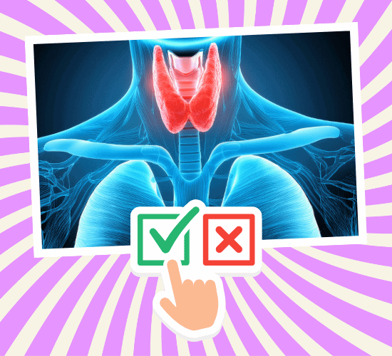 Fun Salivary Glands Anatomy Quiz
