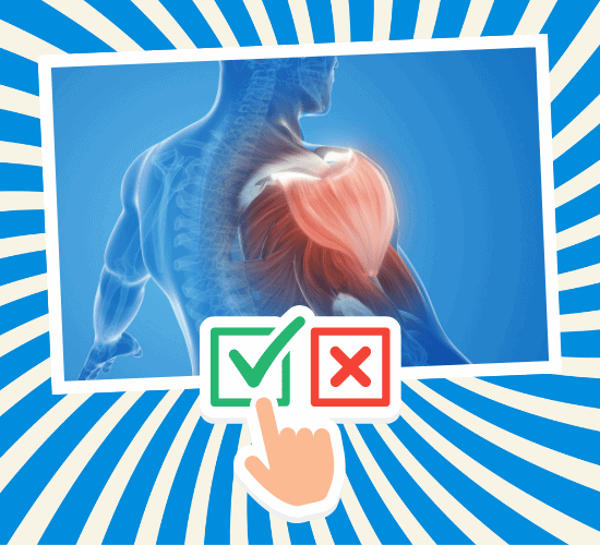 Fun Shoulder Anatomy Quiz