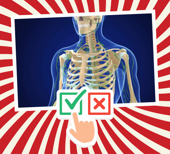 Fun Skeletal System Anatomy Quiz