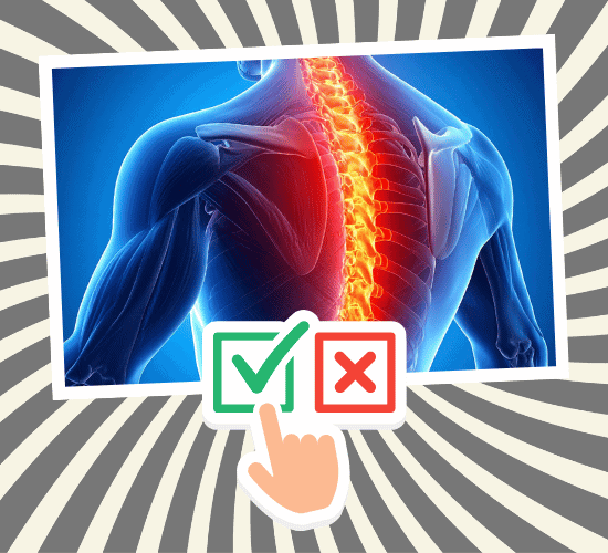 Fun Spine Anatomy Quiz