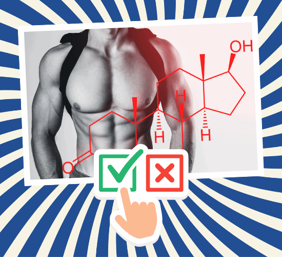 Fun Testes Anatomy Quiz