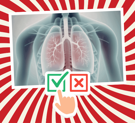 Fun Trachea Anatomy Quiz