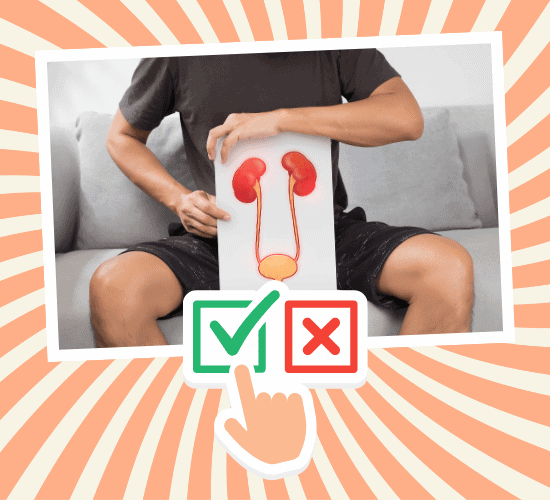 Fun Urethra Anatomy Quiz