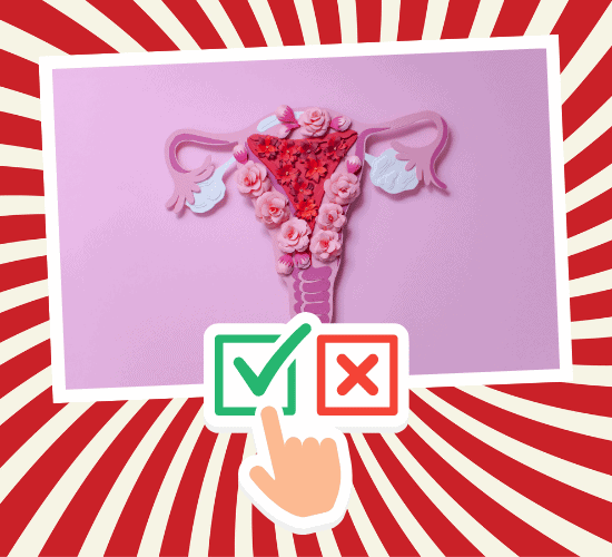 Fun Uterus Anatomy Quiz