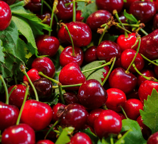 Fun Cherry Fruit Quiz