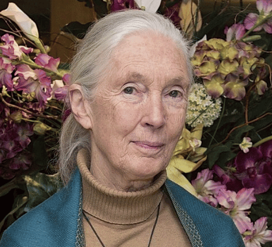 Fun Jane Goodall Quiz