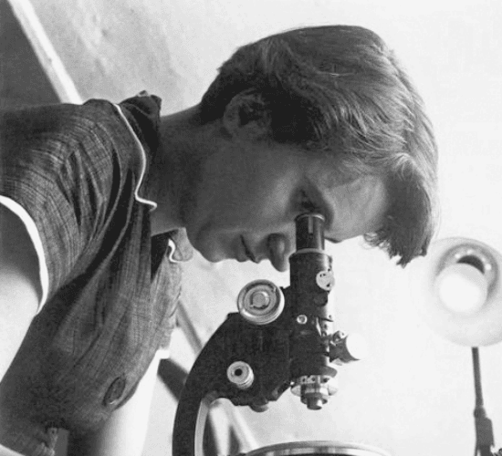 Fun Rosalind Franklin Quiz