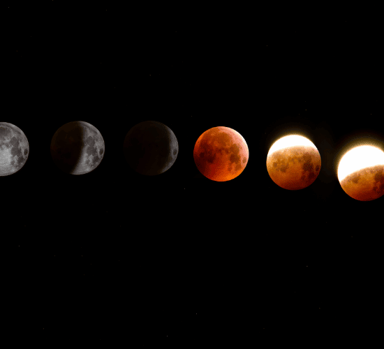 Fun Moon Phase Quiz