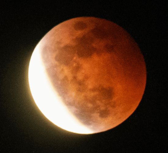Fun Partial Eclipse Quiz