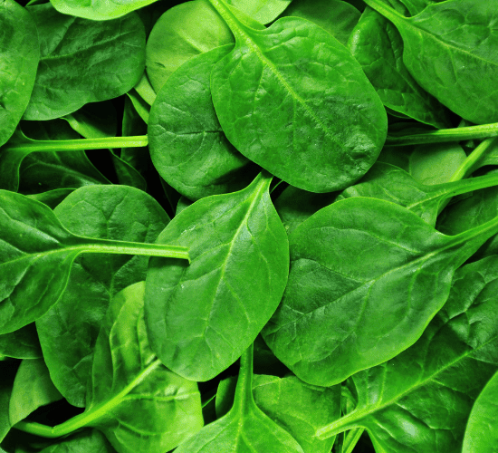 Fun Spinach Quiz