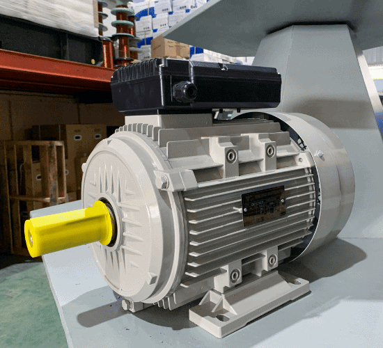 Fun Electric Motor Invention Quiz