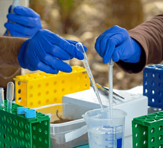 Enzymes and Bioenergetics