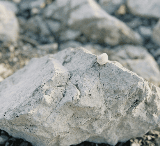 The Toughest Thallium Quiz Online