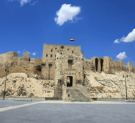 Are You Smart enough For This Aleppo City Quiz?