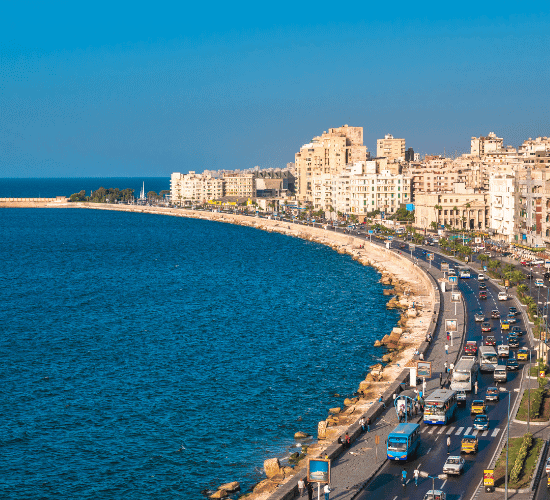 Can You Survive This Alexandria City Challenge?