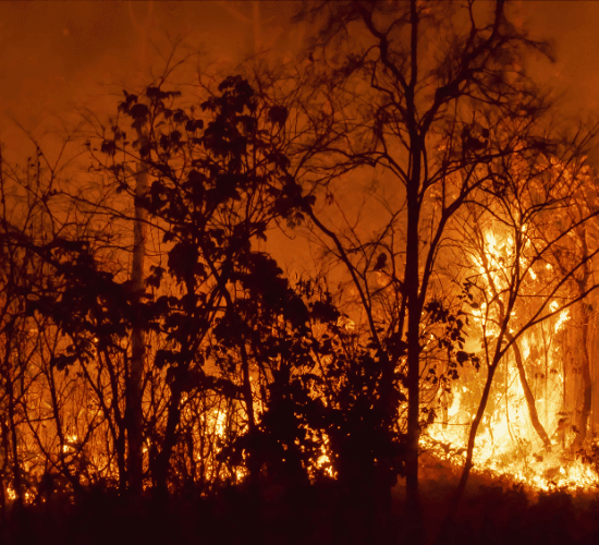 The Final International Day for Disaster Risk Reduction Test
