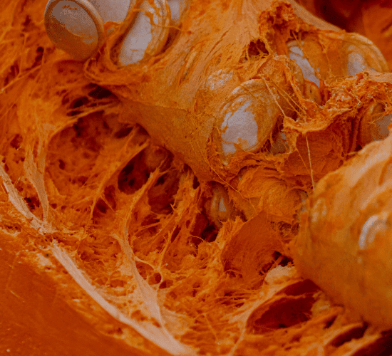 The Ultimate World Microbiome Day Challenge