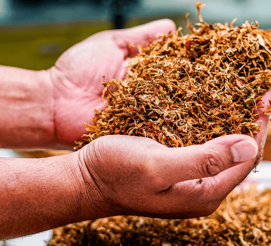 This World No Tobacco Day Quiz Gets Harder Every Question