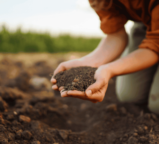 The Impossible World Soil Day Trivia Challenge