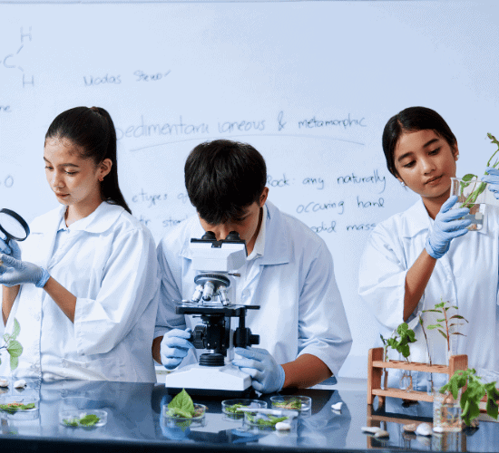 The Final World Science Day for Peace and Development Test