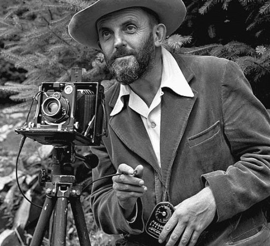 Can You Master This Ansel Adams Trivia Test?