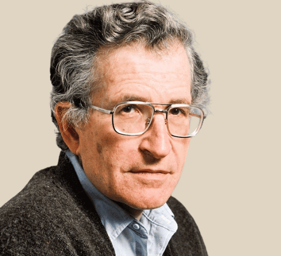 The Ultimate Expert-Level Noam Chomsky Quiz