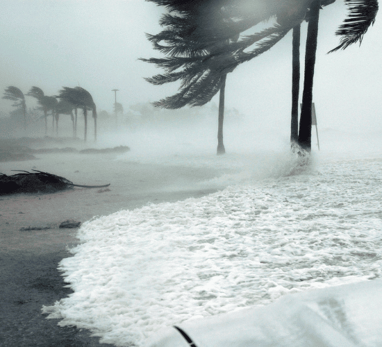 Beat This Hurricane Katrina Quiz If You Can
