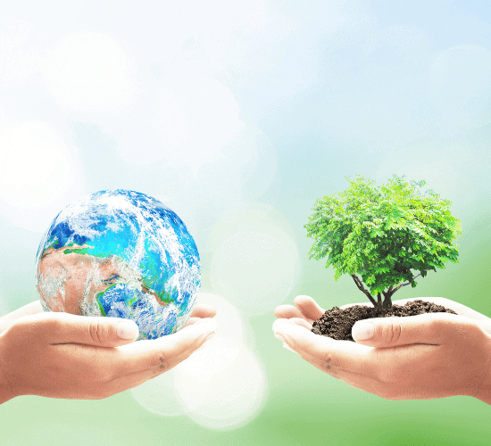 Can You Score 100% In This Environmental Campaign Slogans Quiz?