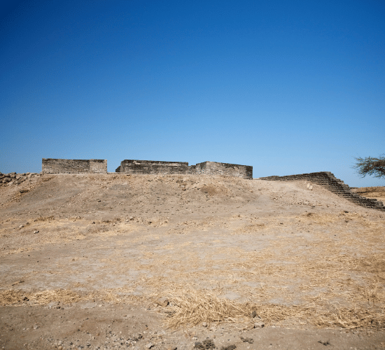 Can You Survive the Final Round of Harappan Cities Quiz?