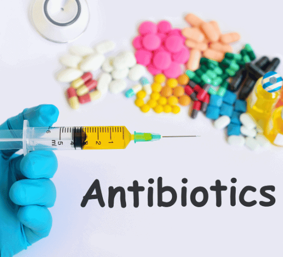 Discovery of Antibiotics Quiz: Can You Master This Topic?