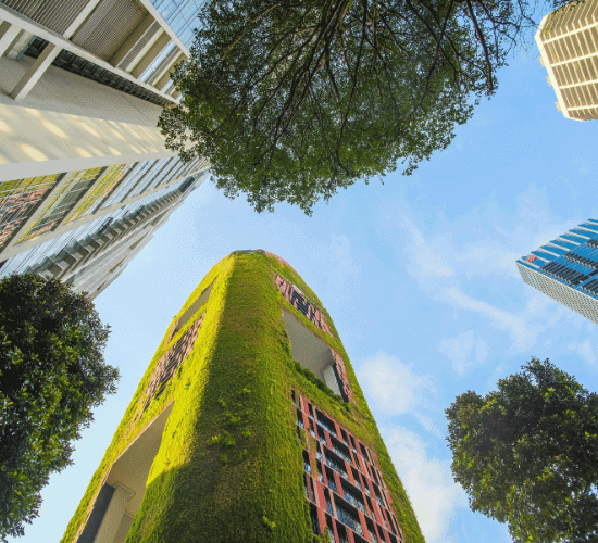 History of Urbanization Quiz: Take This Trivia Test and Find Out