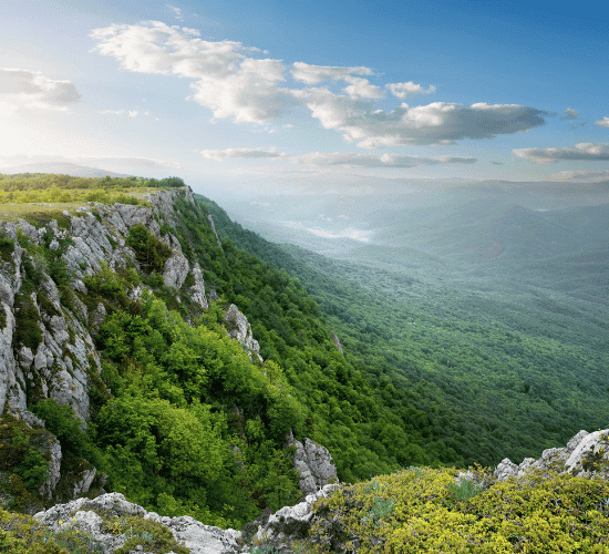 Plateaus Quiz: How Many Questions Can You Get Right?