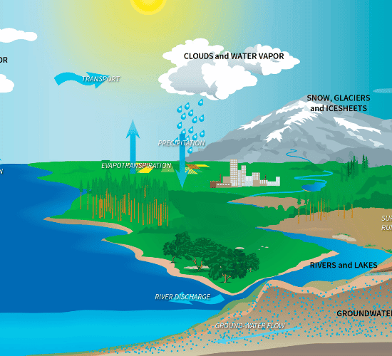 Hydrological Cycle and Water Balance Quiz: Test Your Brainpower