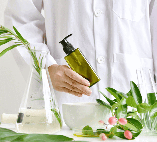 Biogeochemical Cycles Quiz: Show What You Know