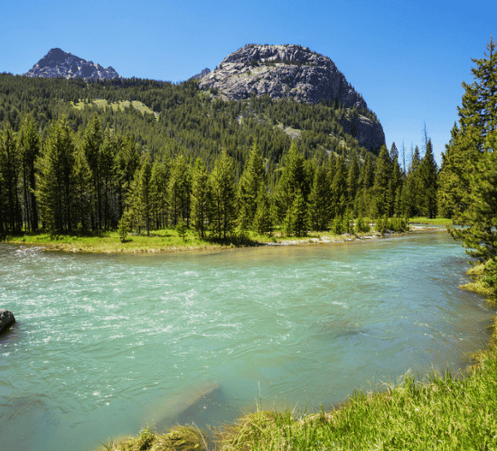 Rivers and Tributaries Quiz: Test Your Expertise