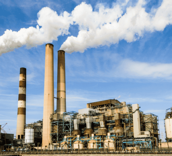 Carbon Footprint and Climate Policies Quiz: Test Your Expertise