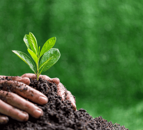 Geoethics and Environmental Responsibility Quiz: Show What You Know