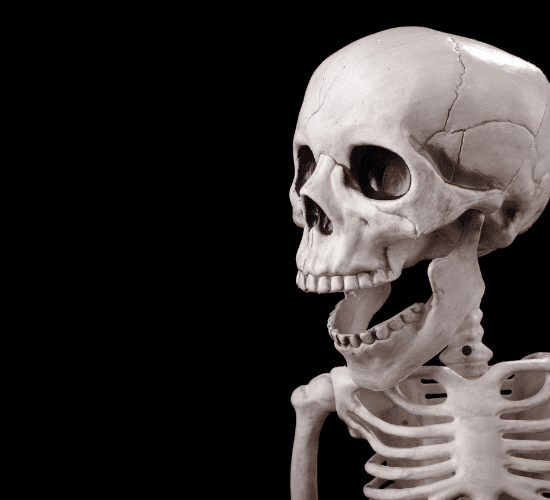 Skeletal System Quiz: Challenge Your Mind