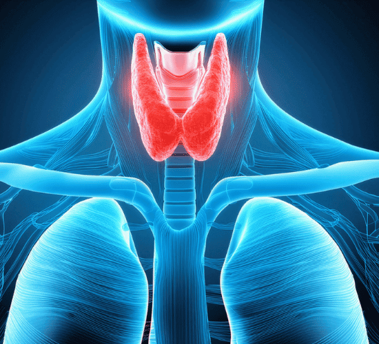 Endocrine Basics Quiz: Are You Ready?