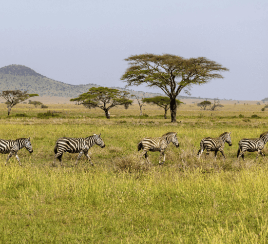 Ecosystems Quiz: Are You Ready to Win?