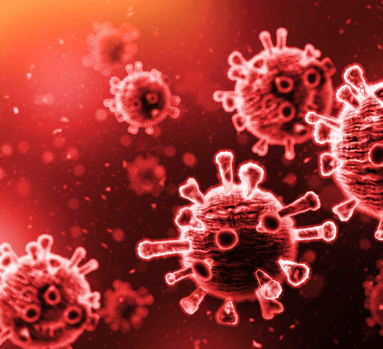 Viruses Introduction Quiz: Try to Score 100%